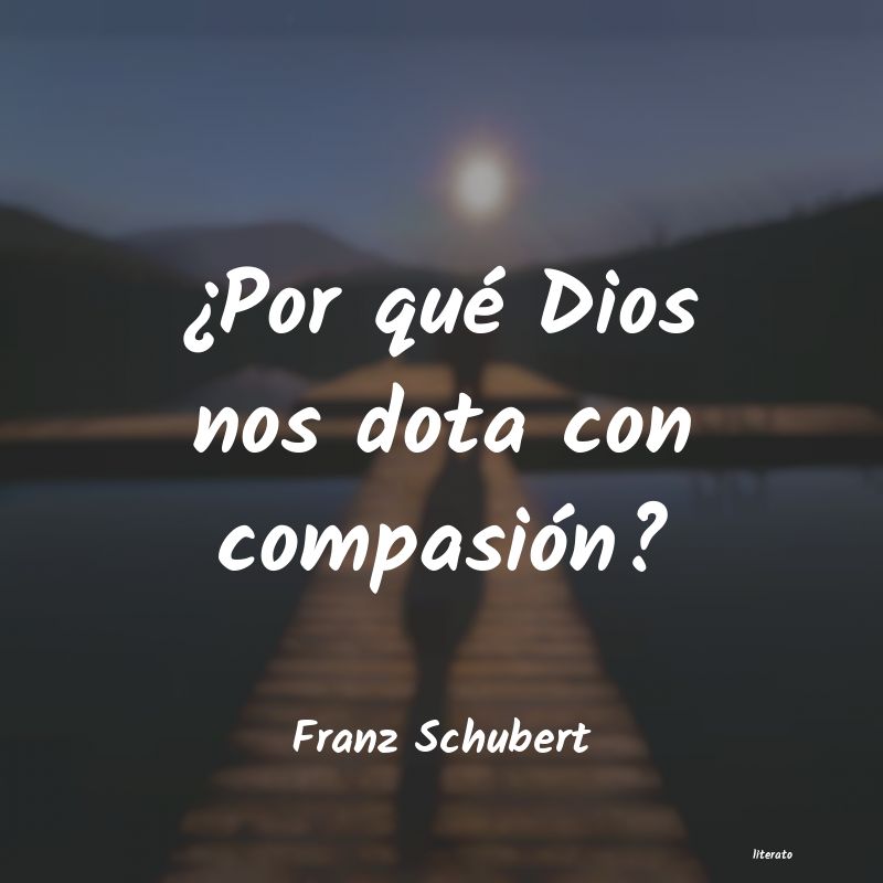 Frases de Franz Schubert