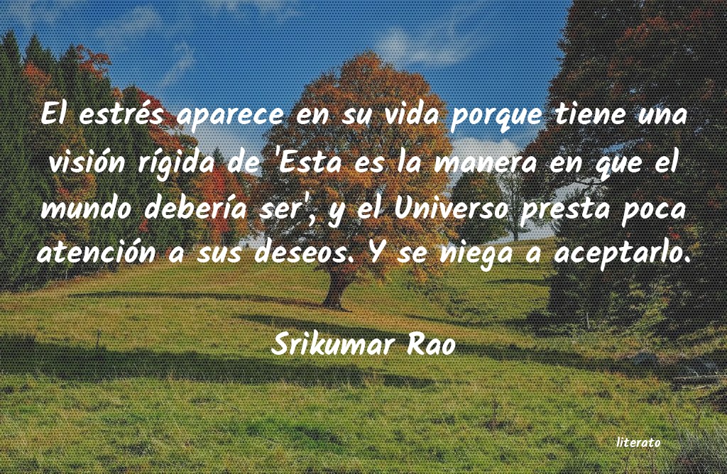 Frases de Srikumar Rao