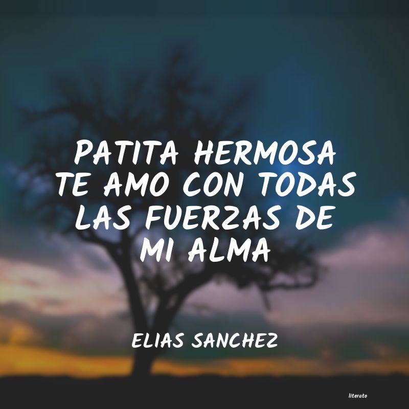 frases de ELIAS SANCHEZ