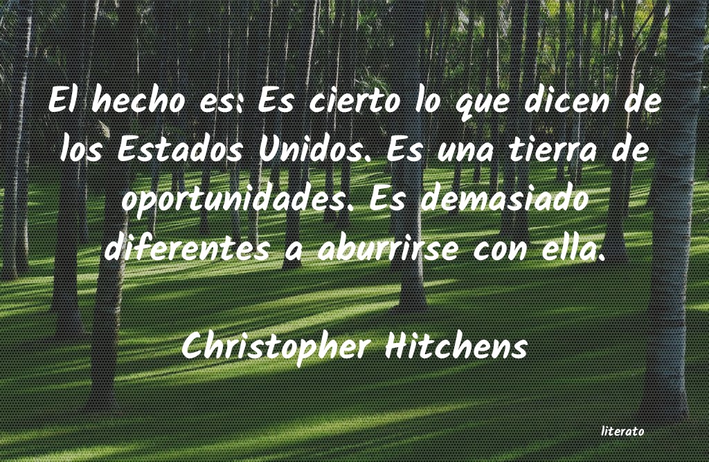 frases de Christopher Hitchens