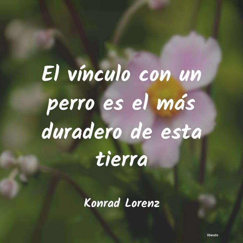 Frases de Konrad Lorenz