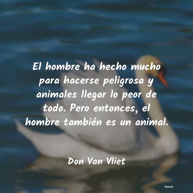 frases de Don Van Vliet