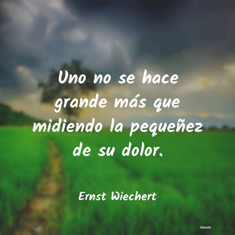 frases de Ernst Wiechert
