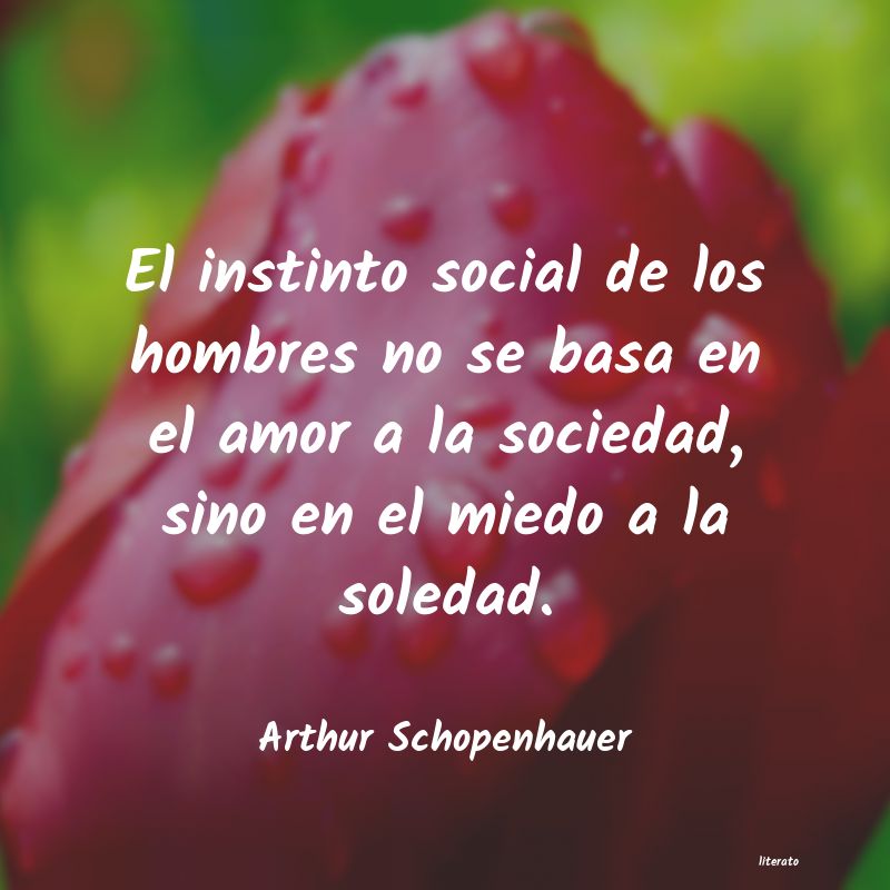 que es el amor segÃºn artur schopenhauer