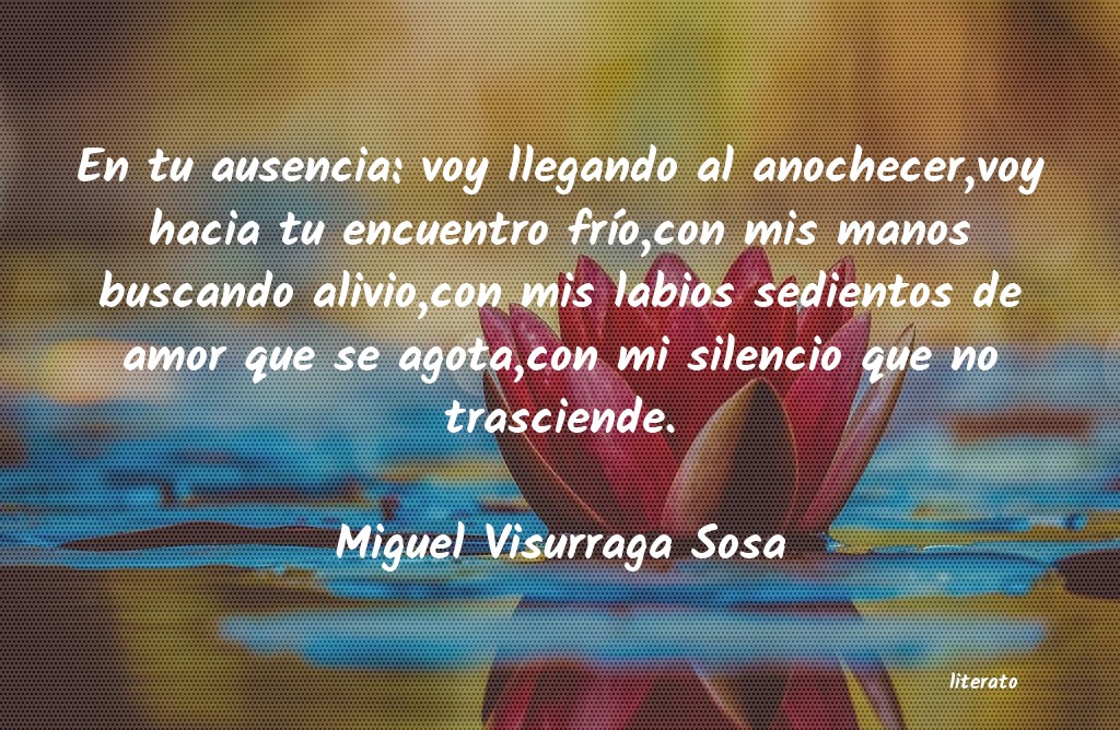 Frases de Miguel Visurraga Sosa