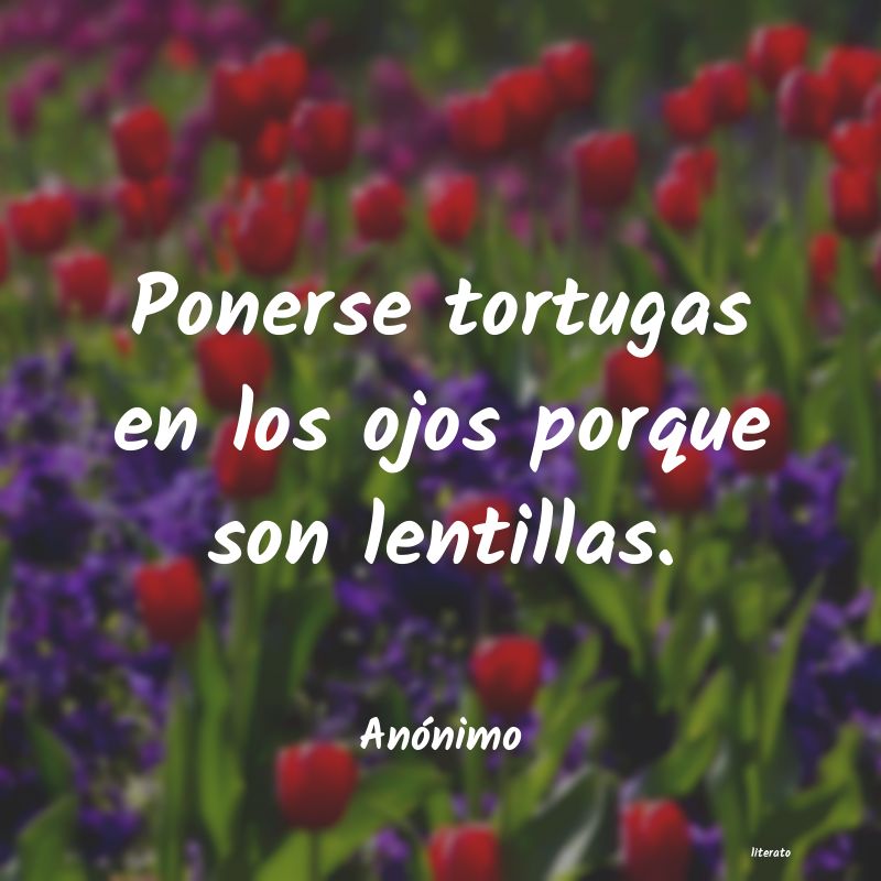 frases