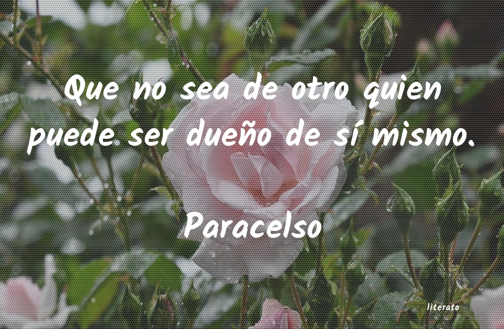 Frases de Paracelso