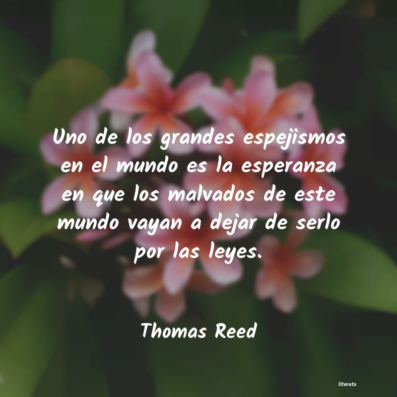 Frases de Thomas Reed