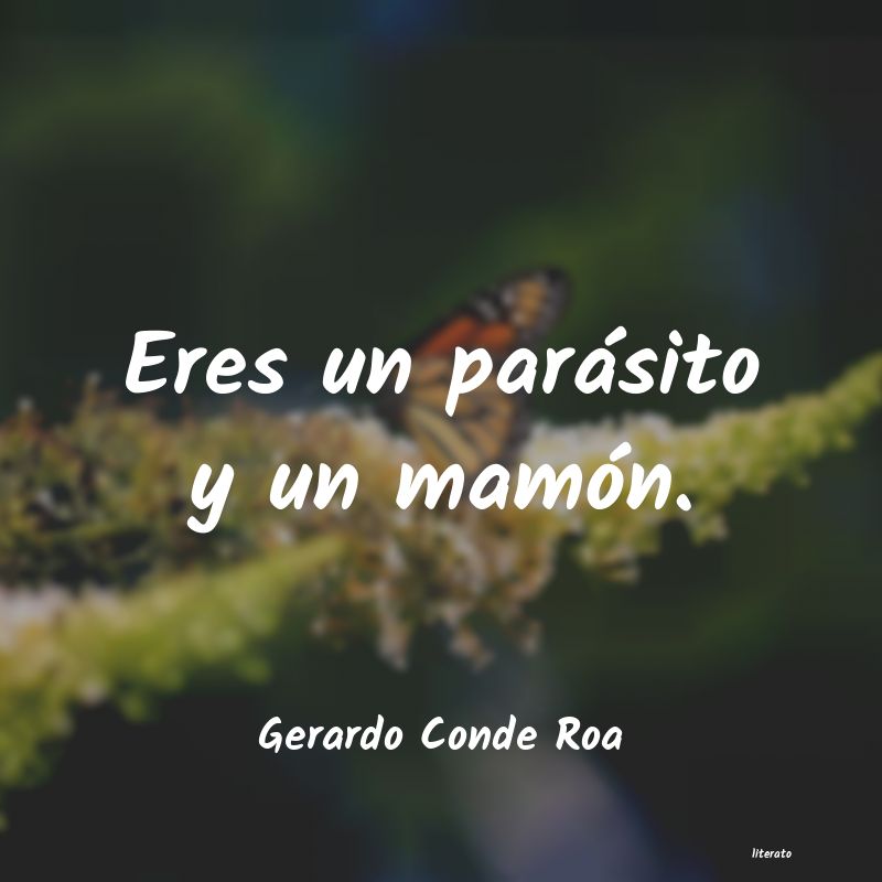 frases de Gerardo Conde Roa