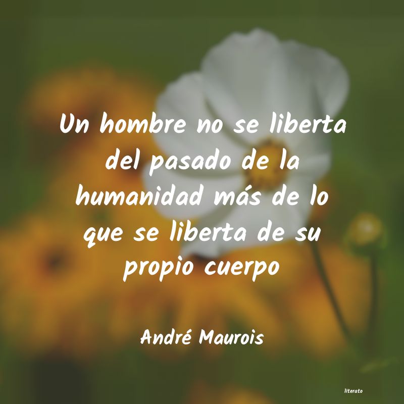 Frases de André Maurois