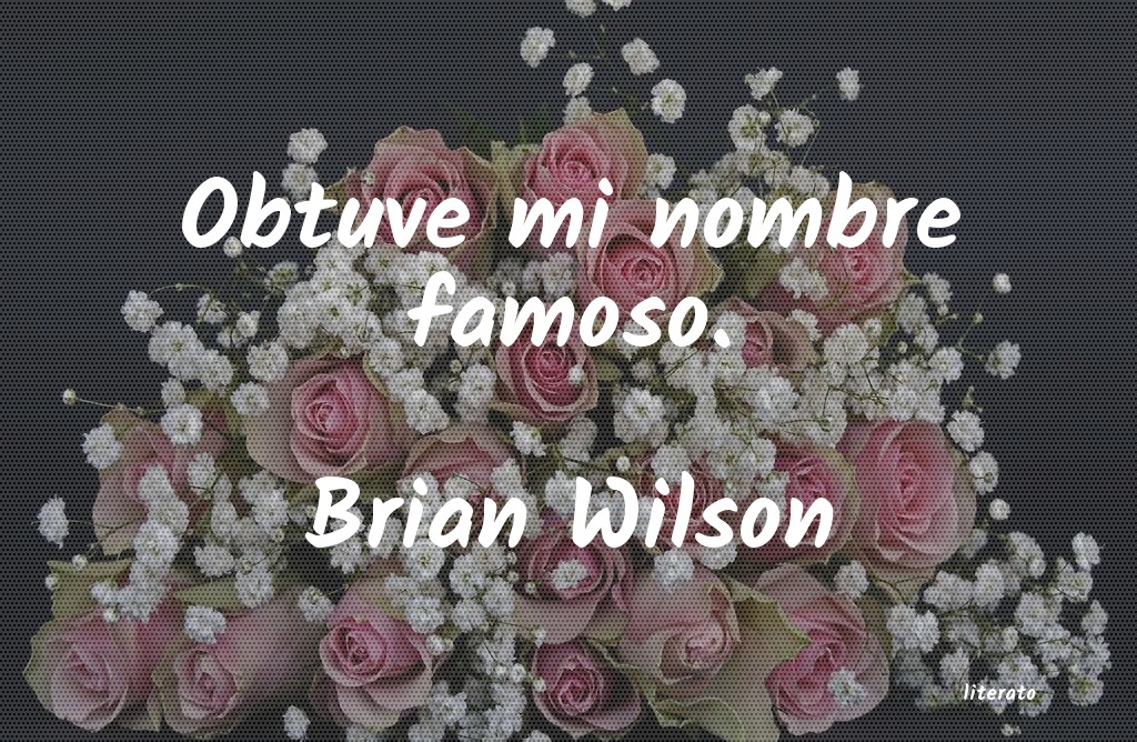 Frases de Brian Wilson
