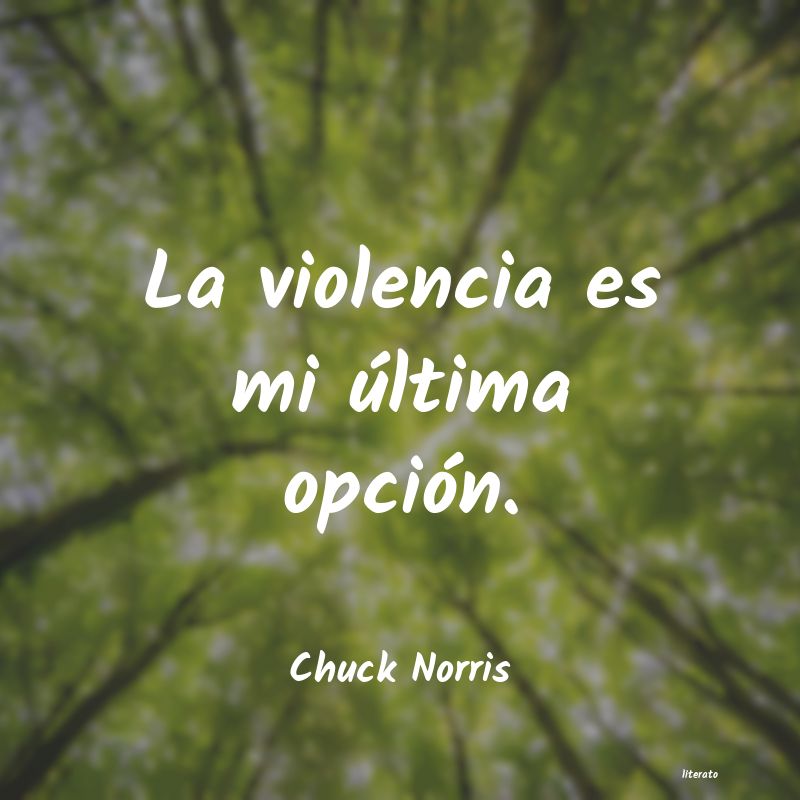 frases de Chuck Norris