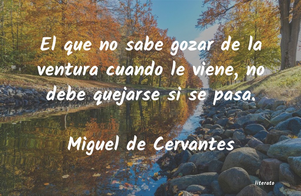 Frases de Miguel de Cervantes