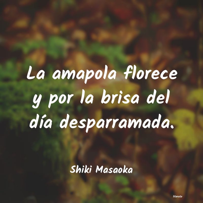 frases de Shiki Masaoka
