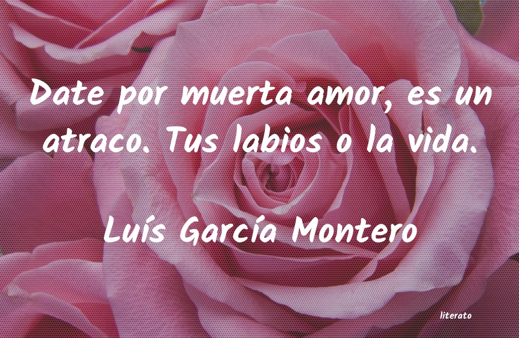 frases de LuÃs GarcÃa Montero