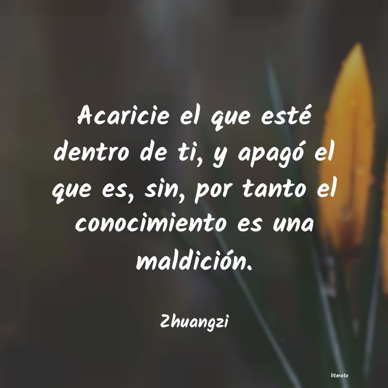 frases de Zhuangzi