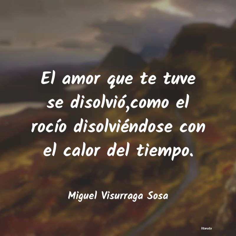 frases de Miguel Visurraga Sosa