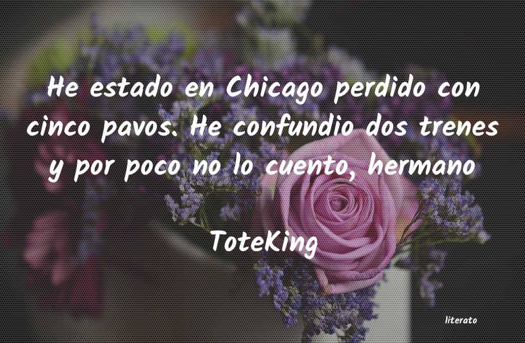 Frases de ToteKing