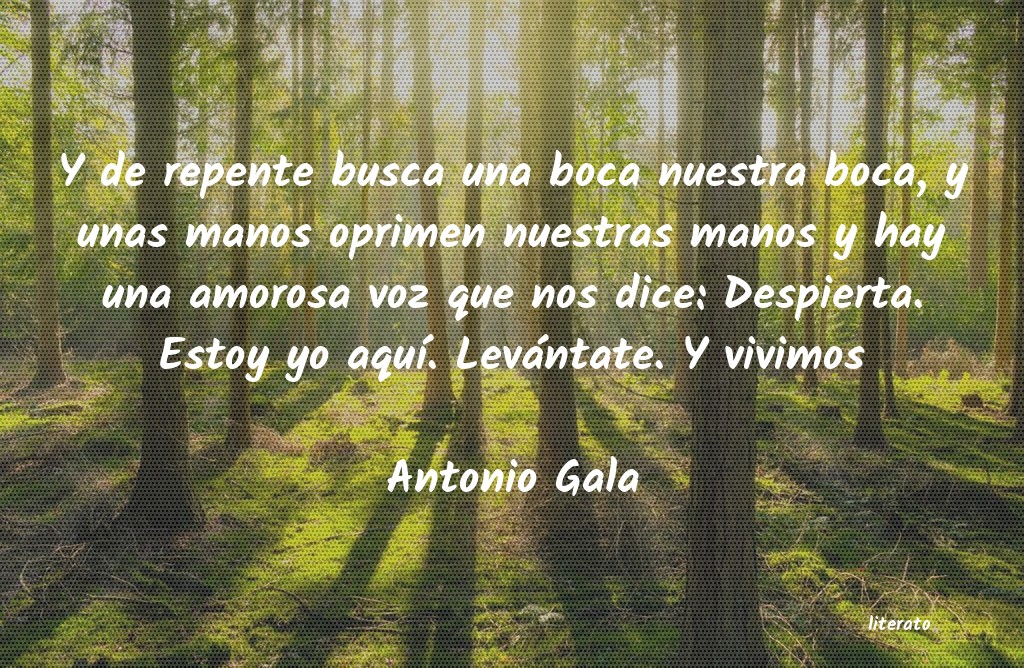 frases de Antonio Gala