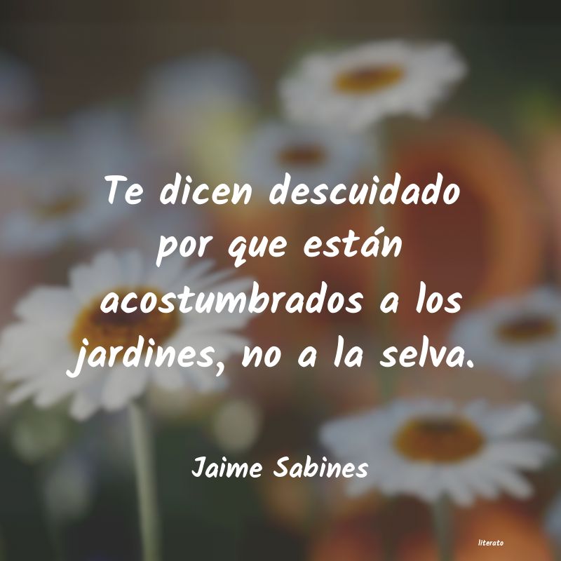 Frases de Jaime Sabines