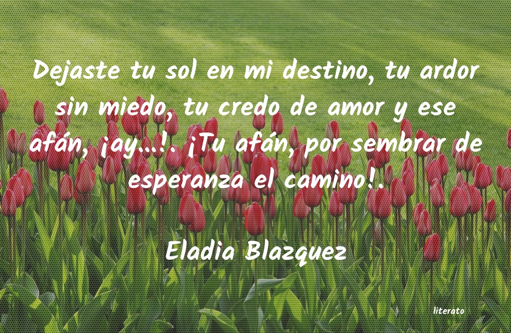 Frases de Eladia Blazquez