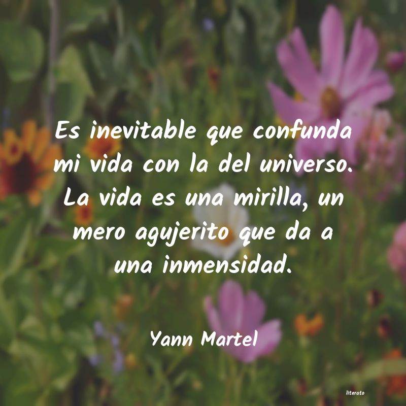 frases de Yann Martel