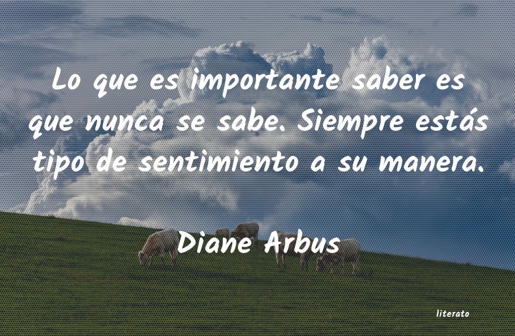 Frases de Diane Arbus