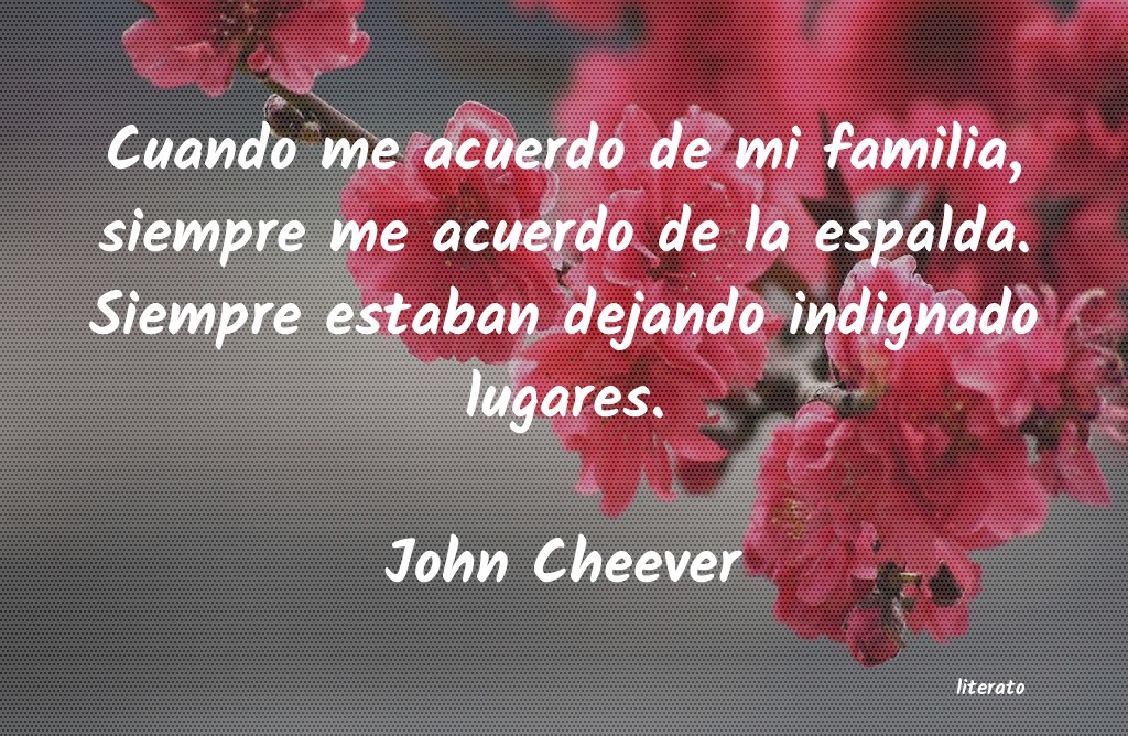 Frases de John Cheever