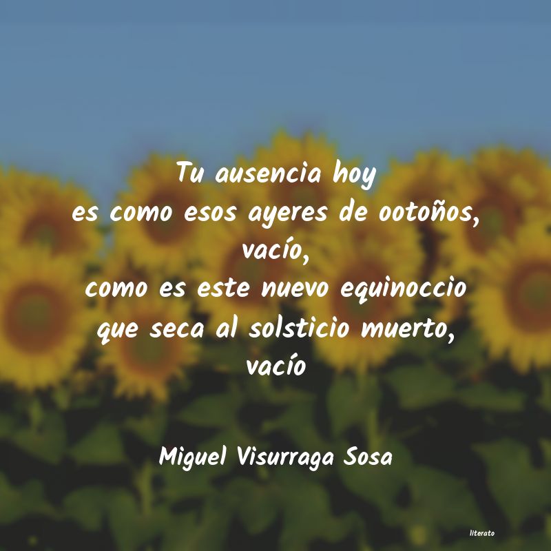 Frases de Miguel Visurraga Sosa