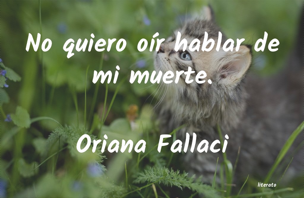 Frases de Oriana Fallaci