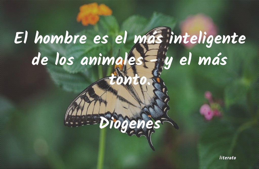 frases de Diogenes