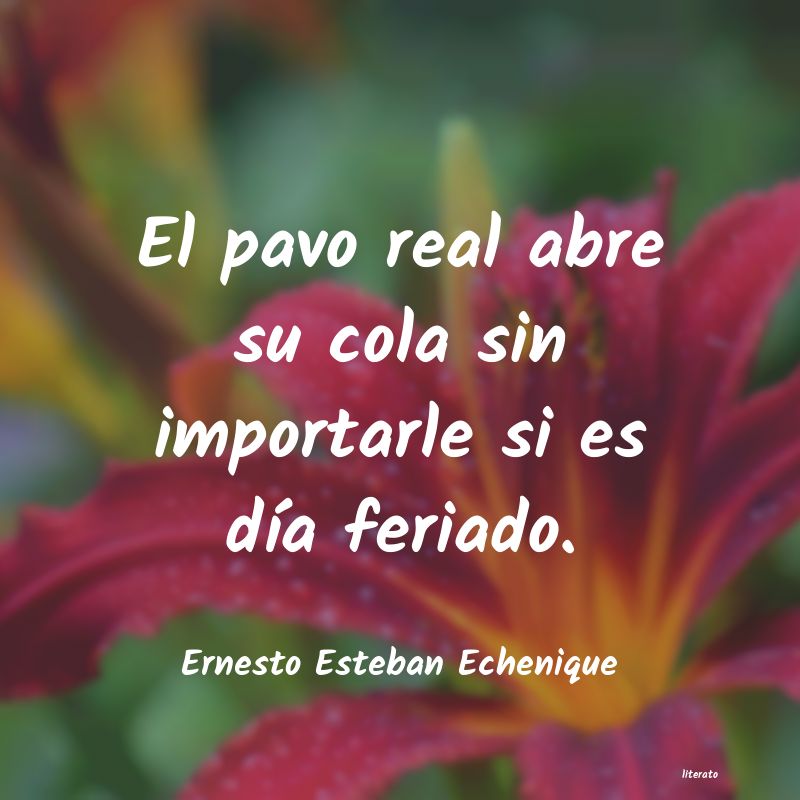 frases de Ernesto Esteban Echenique