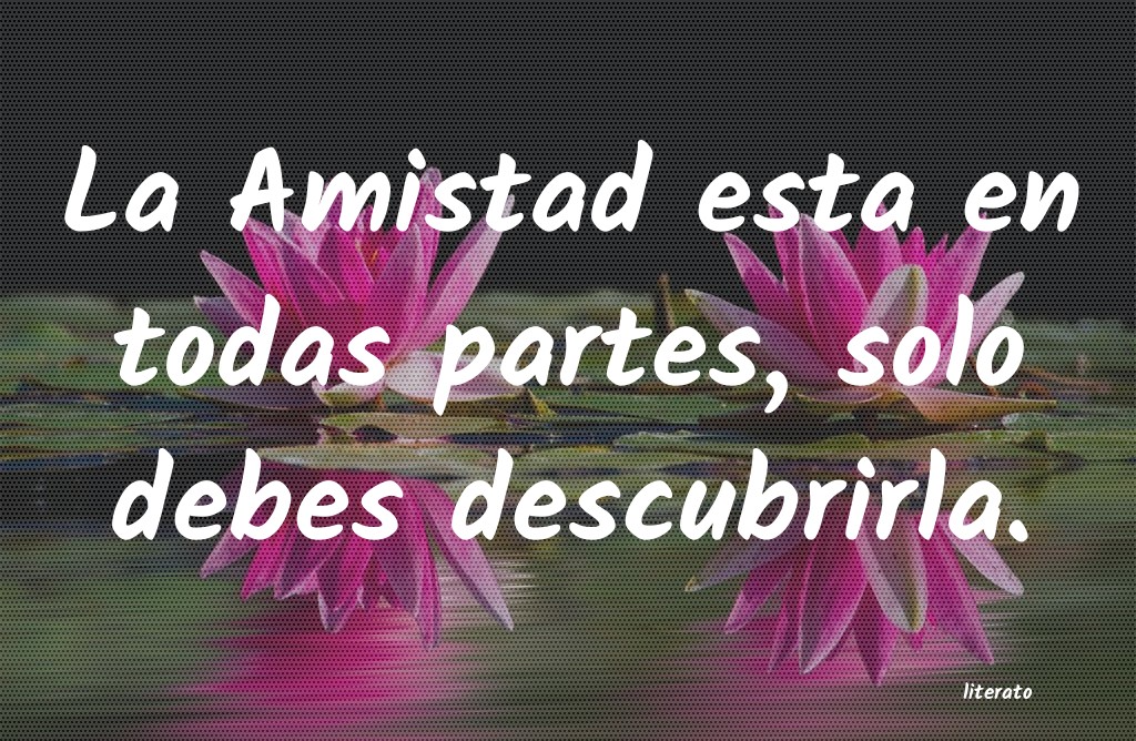 frases