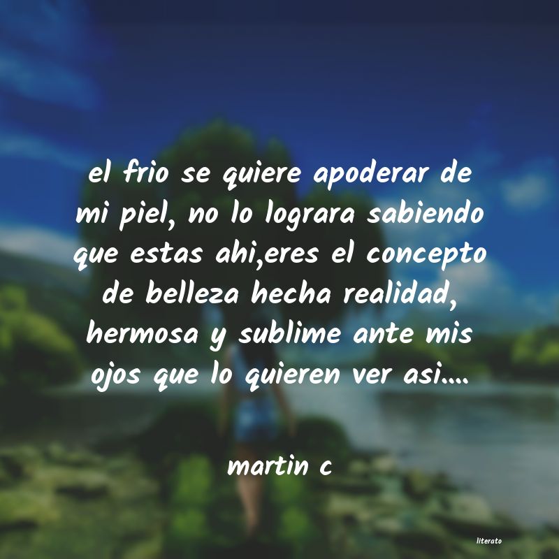 frases de martin c