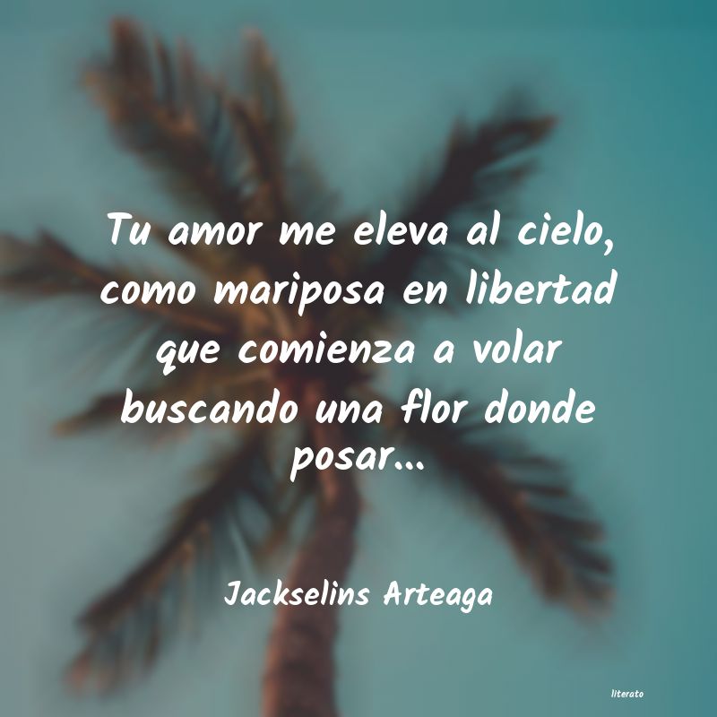 Frases de Jackselins Arteaga