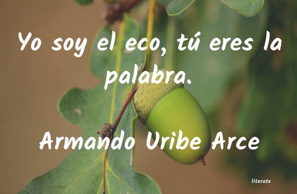 frases de Armando Uribe Arce