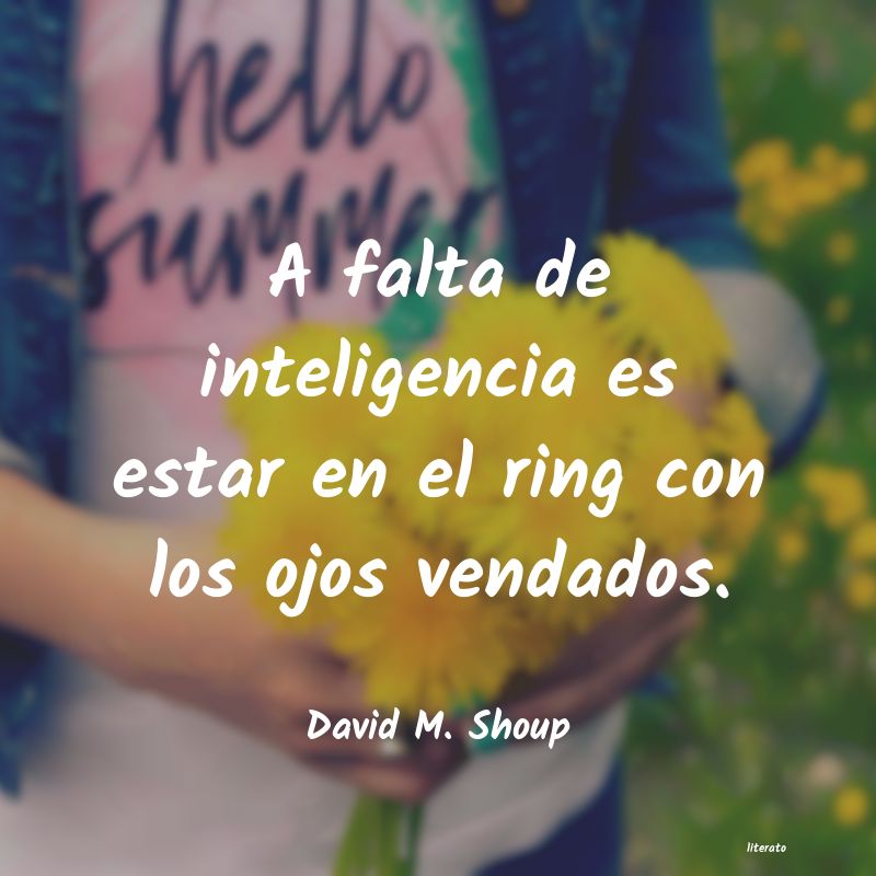 Frases de David M. Shoup