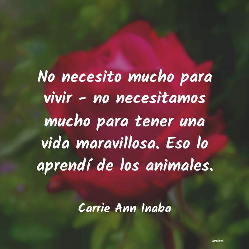 frases de Carrie Ann Inaba