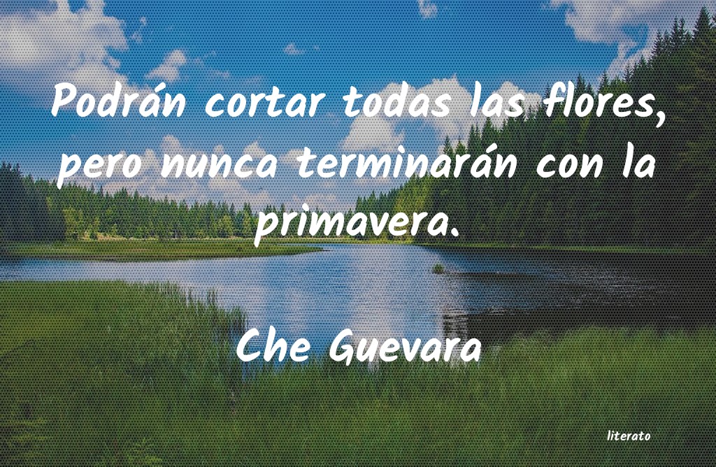 frases de Che Guevara