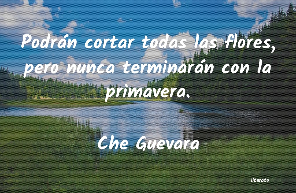 Frases de Che Guevara