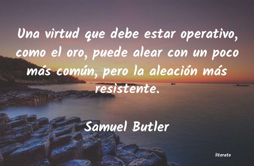 Frases de Samuel Butler