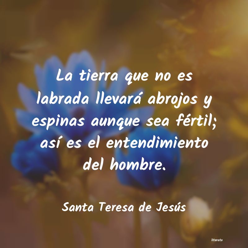 frases de Santa Teresa de Jesús