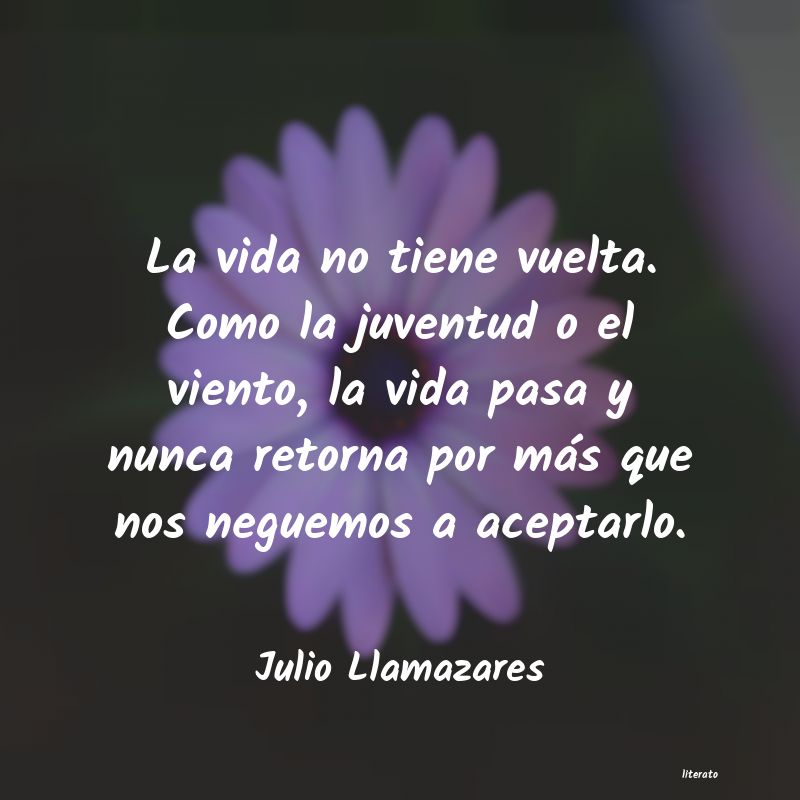 frases de Julio Llamazares