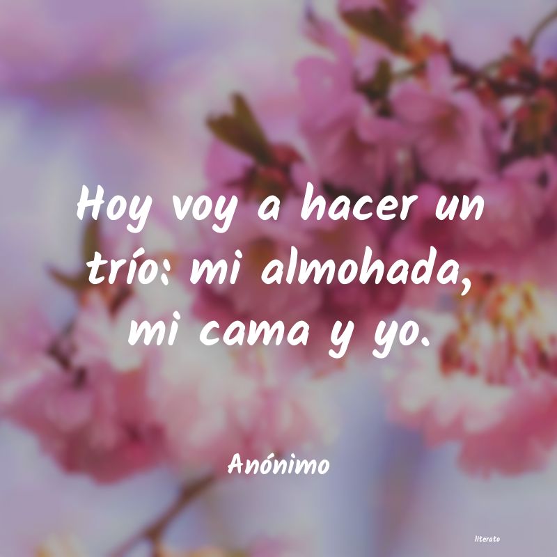 frases