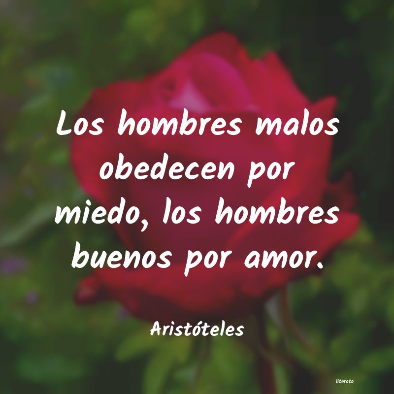 frases de Aristóteles
