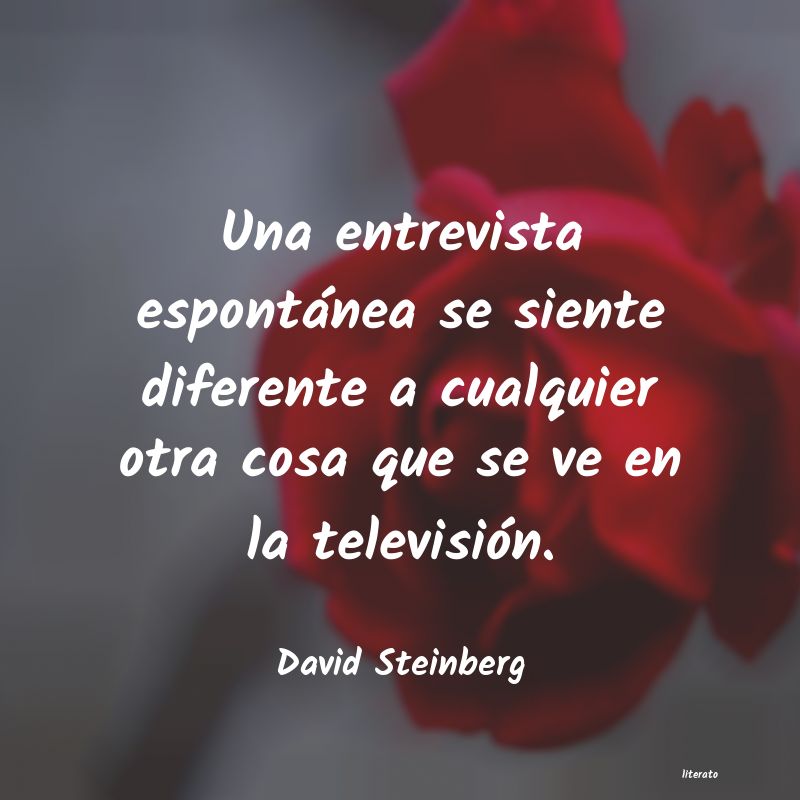 Frases de David Steinberg