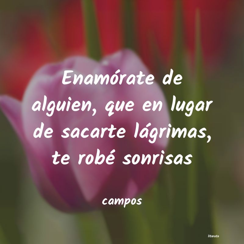frases de campos