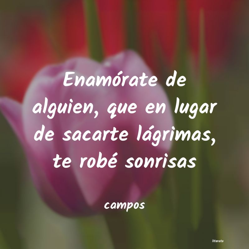 Frases de campos