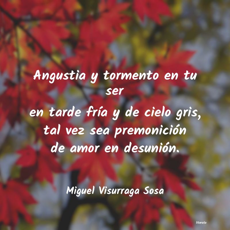 frases de Miguel Visurraga Sosa