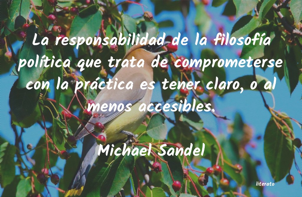 Frases de Michael Sandel